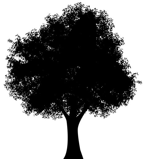 The tree's roots are visible underground and consist of seven large branches connected to multiple small roots. . Oak tree silhouette